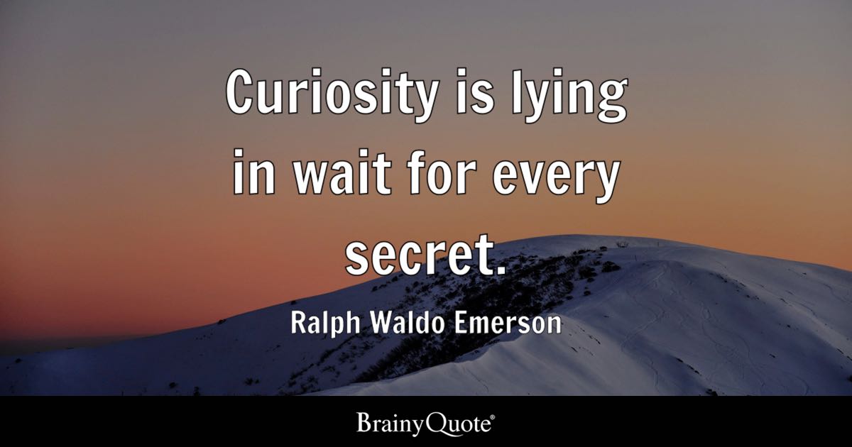 ralph waldo emerson quote, curiosity is lying in wait for every second
